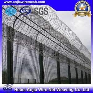 PVC Coated Razor Barbed Wire for Security Fence with SGS